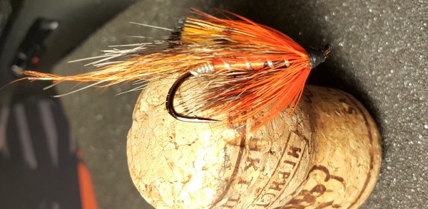 shrimp1.jpg