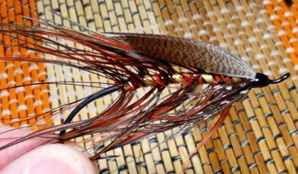 Spey& Double Hackles.jpg