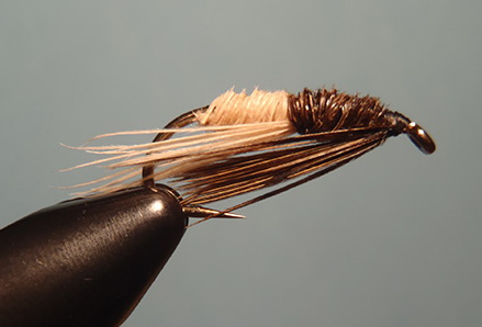 P4100058.jpg