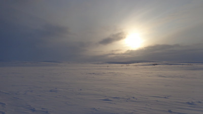 Тундра 017.jpg