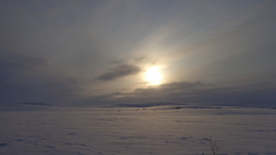 Тундра 023.jpg