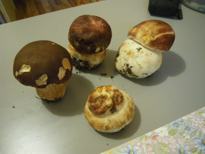 IMGP0522.JPG (443.31 КБ) Просмотров: 2765 IMGP0522.JPG