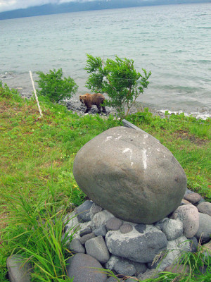 905637_900.jpg