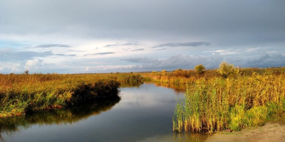 The river of my childhood.jpg