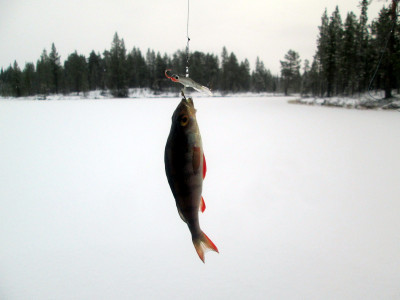 Открытие зимнего сезона 2019 (2).JPG