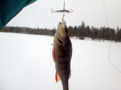 Открытие зимнего сезона 2019 (5).JPG