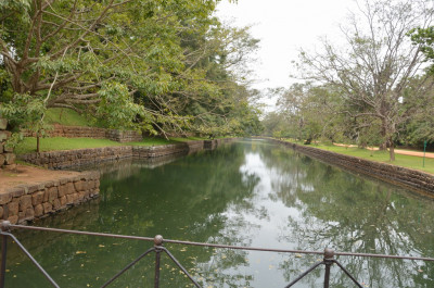 DSC_0247.JPG