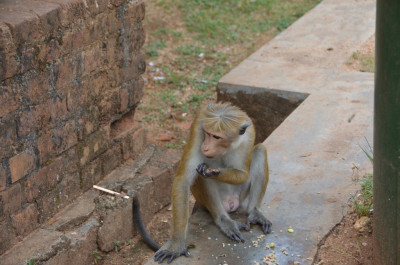 DSC_0475.JPG