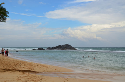 DSC_0478.JPG