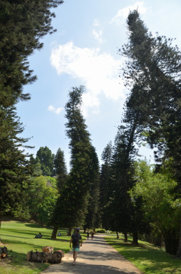 DSC_0020.JPG