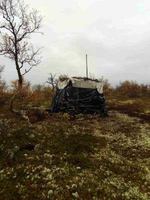 IMG_20190914_101726_compress50.jpg (441.26 КБ) Просмотров: 3634 IMG_20190914_101726_compress50.jpg