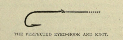 Dhook 3.jpg