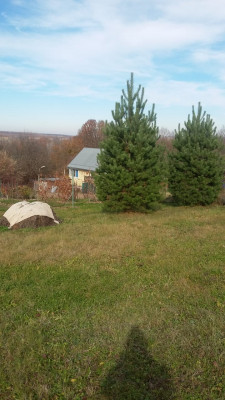 IMG-20191110-WA0007.jpg