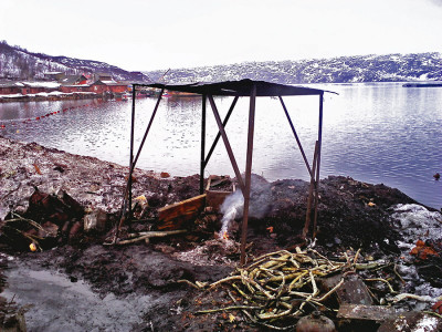 IMG0060.jpg