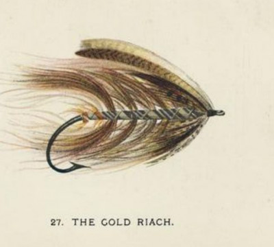 The Gold Riach.jpg