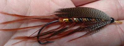 Gold Riach on my hook.jpg