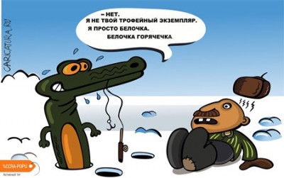 karikatura-belochka_(evgeniy-korovkin)_32034.jpg