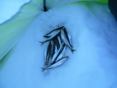 DSCN4273.JPG