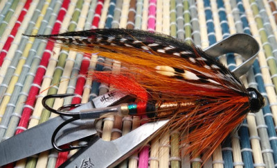 Koka Kola fly (variant).jpg