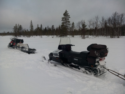 IMG_20200307_084015.jpg