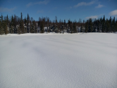 IMG_20200307_122053.jpg