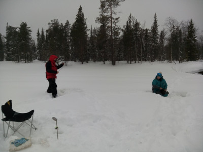 IMG_20200308_133356.jpg