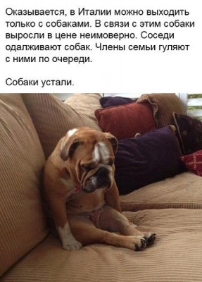 OEECqiqOZtg.jpg
