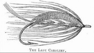 Lady Caroline 5.jpg