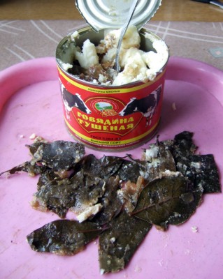 DSCF0950кадр.jpg
