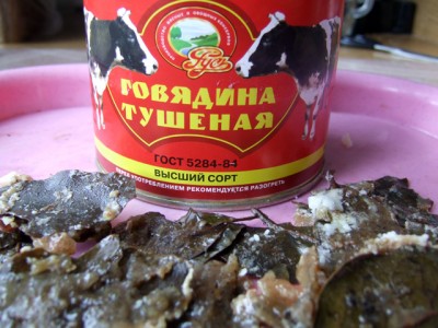 DSCF0952мини.jpg