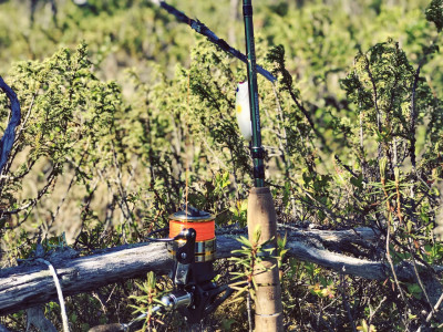 IMG_4249.jpg (506.83 КБ) Просмотров: 3707 IMG_4249.jpg