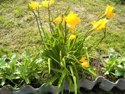 IMG_20200708_103803.jpg