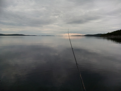 IMG_20200624_184618.jpg