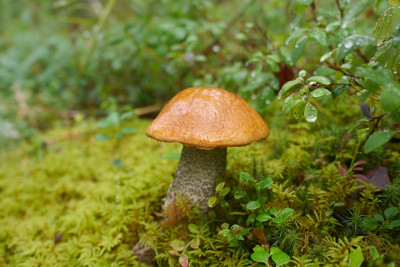 P1240122-1.jpg