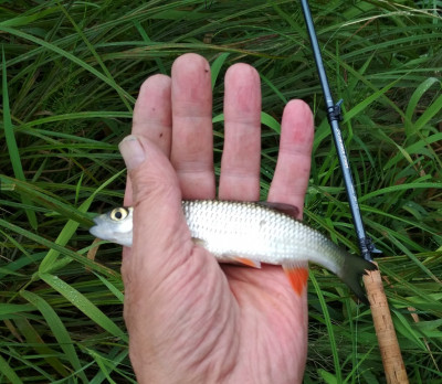 IMG_20200829_125640.jpg (279.79 КБ) Просмотров: 1680 IMG_20200829_125640.jpg