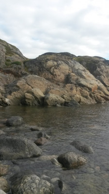 IMG_20200906_130627.jpg