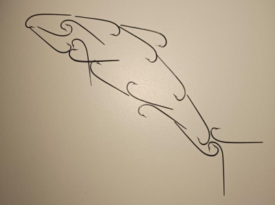 Salmon from hooks.jpg
