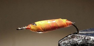 Autumn Leaves 5-1.jpg