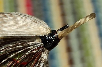 Reverse Mallard Wing 2.jpg