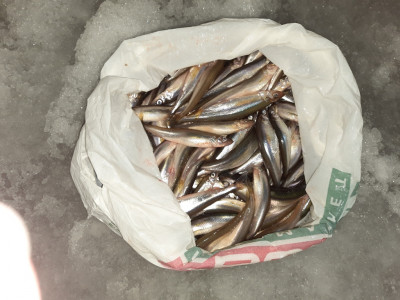 20201223_180437.jpg (328.98 КБ) Просмотров: 2195 20201223_180437.jpg