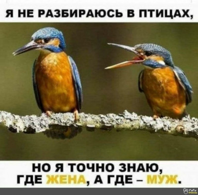 Муж-жена..jpg