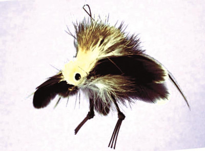 Без имени-1.jpg