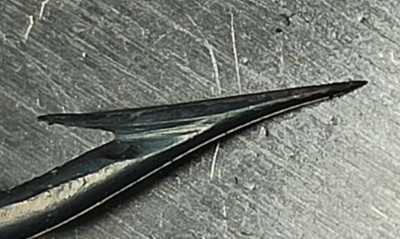 77.jpg