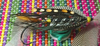 Glen Grand in the hand.jpg