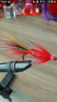 S10503-152515.jpg