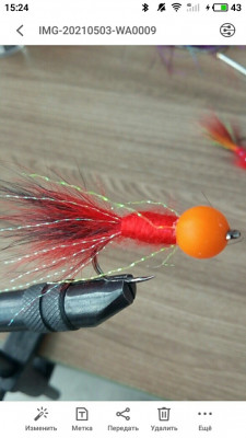 S10503-152433.jpg