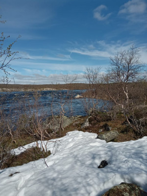 IMG-20210608-WA0006.jpg