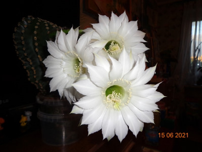 DSC01638.JPG