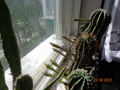 DSC01647.JPG