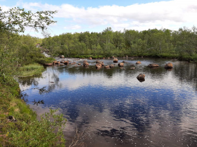 WhatsApp Image 2021-07-25 at 18.57.06.jpeg